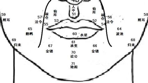 鼻環面相|麦玲玲面相讲座之 鼻子 – 人相学